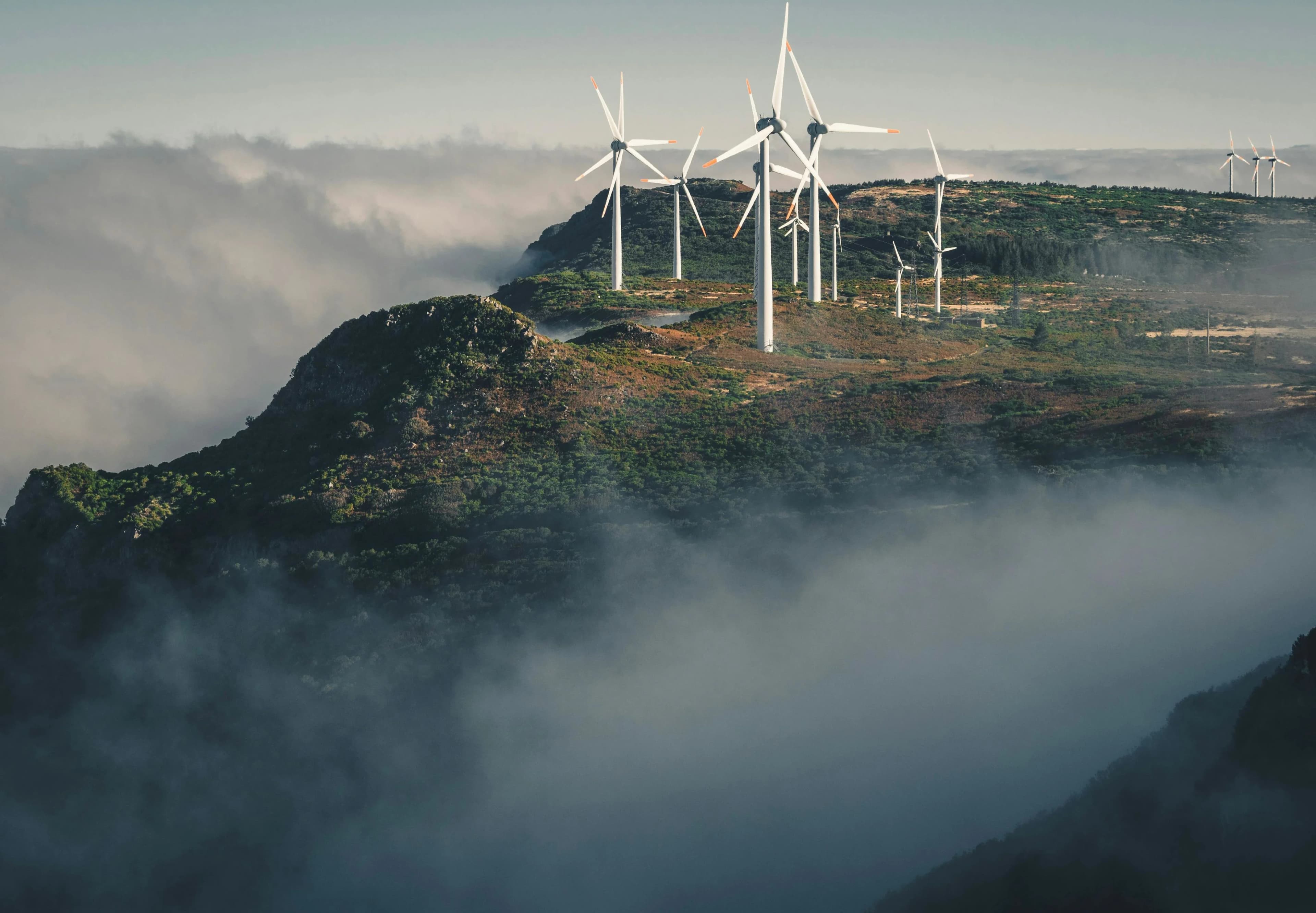 A group of wind turbines stands on a misty, green hilltop, generating clean energy for the island.