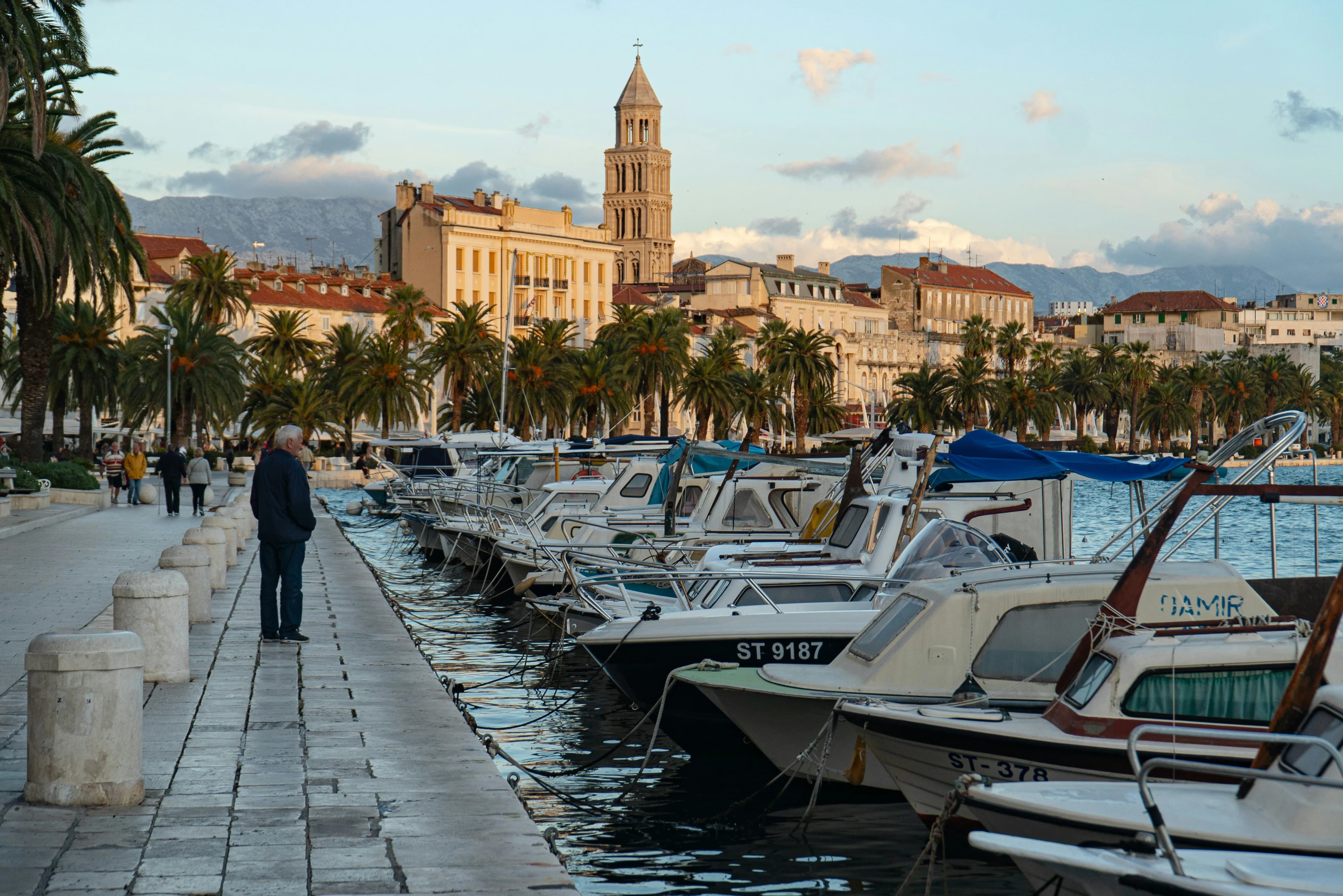 A man standing on a waterfront promenade in Split, with palm trees and a view of the harbor and the bell tower of the Cathedral of Saint Domnius.