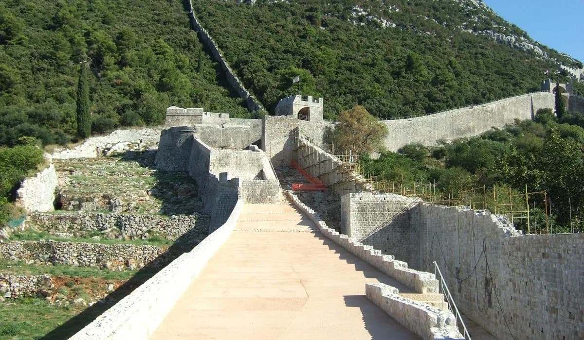 The majestic Walls of Ston, a series of fortified stone walls, climb a steep, green hillside.
