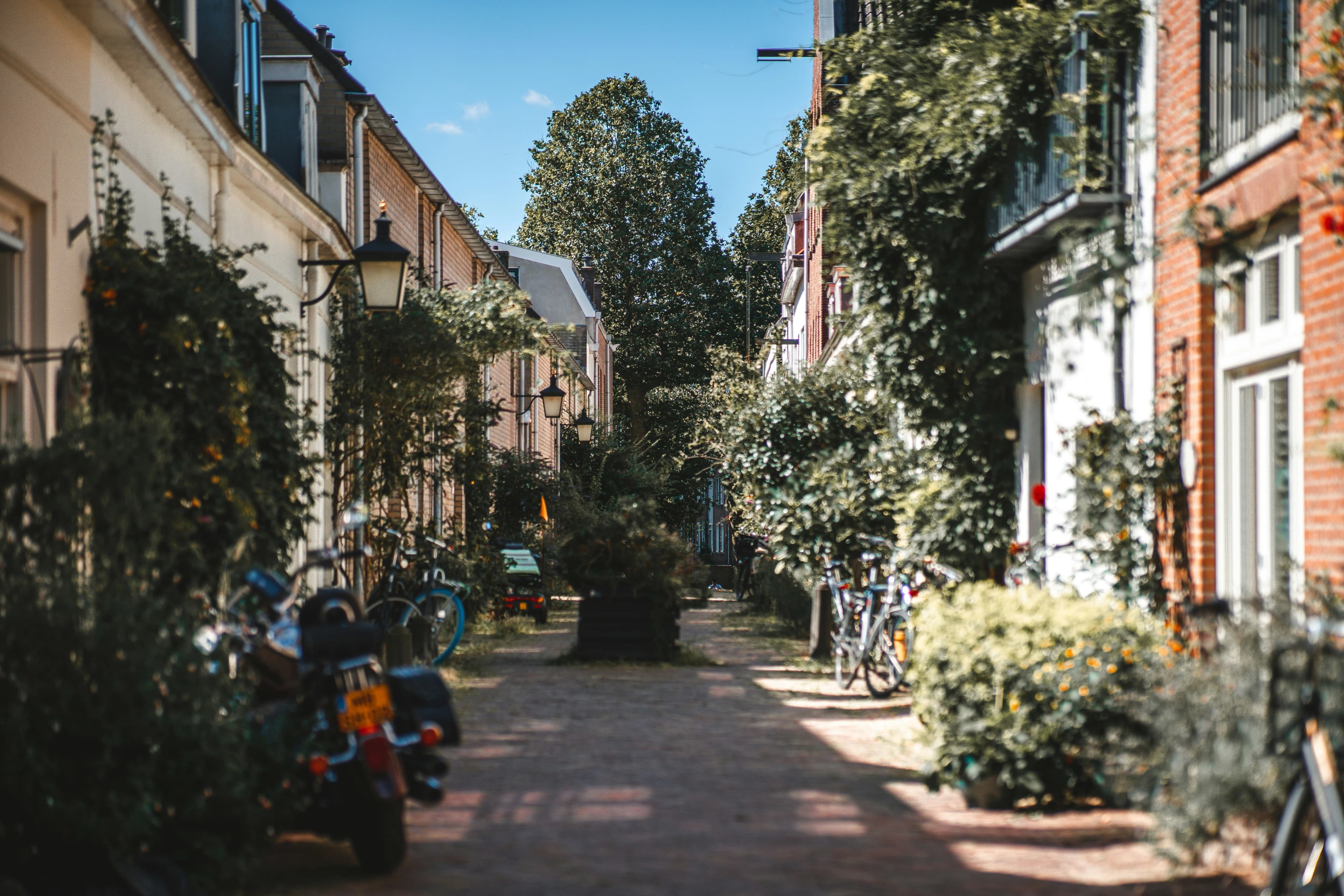 A narrow, tree-lined cobblestone street in Utrecht with bicycles parked on the side.